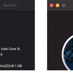 Bigsur_1Gb&2Gb.png