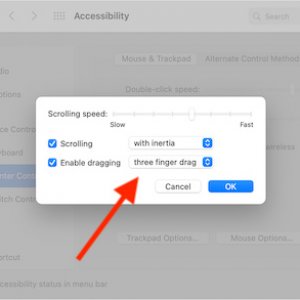 macos-big-sur-system-prefs-accessibility-pointer-control-three-finger-drag.jpg