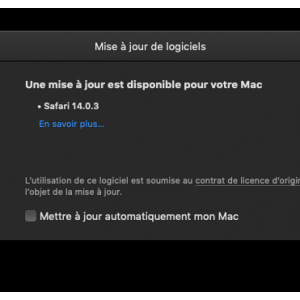 Capture d’écran 2021-02-03 à 02.39.21.png