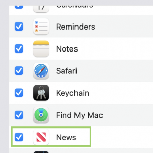 iCloud Options.png