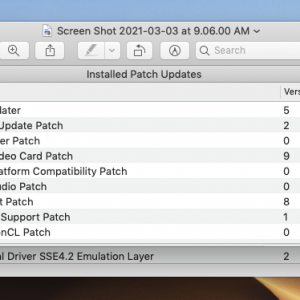 Installed patches on Mojave partition.png