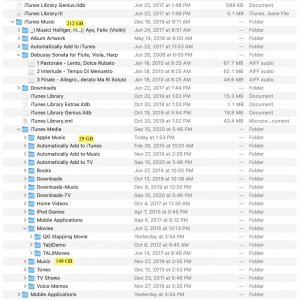 Music Folder Screenshot.jpg