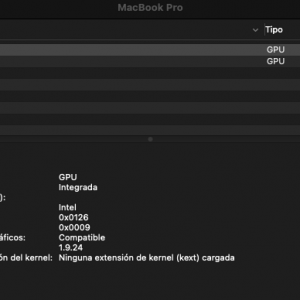 No carga kext pantalla integrada en bigsur.png