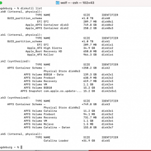 diskutil list.png