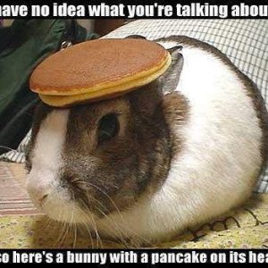 Bunny pancake.jpg