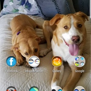 Screenshot_20190316-185133_Nova Launcher.jpg