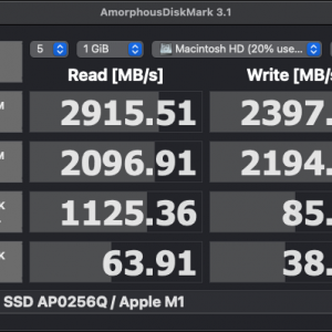 APPLE SSD AP0256Q : Apple M1 2.png