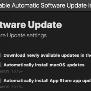 Disable Automatic Software Update Installs.jpg