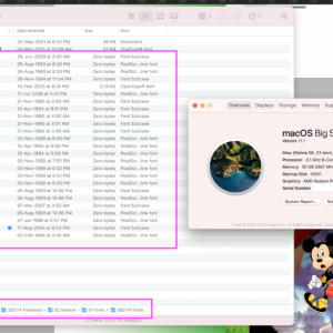 MacOS Big Sur_Font issues.png