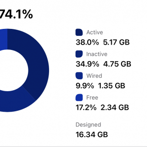 Usage-Memory 2021 12.9 1TB 2021-06-10 at 9.36.25 AM.png