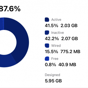 Usage-Memory 2018 12.9 1TB 2021-06-08 at 6.59.23 PM.png