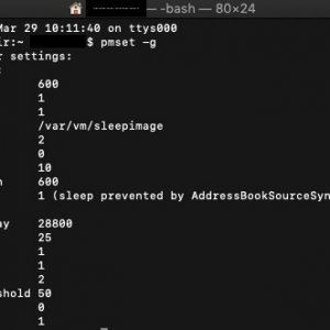 Image 2019-03-29 at 3.43 PM.jpg