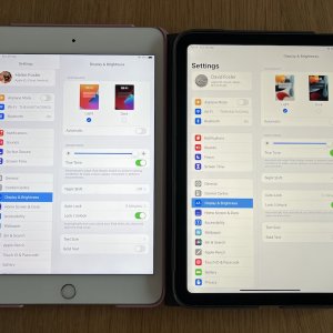 ipadmini6a.jpg