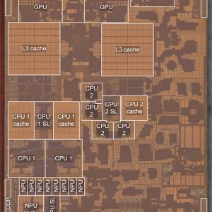 APL1W07_TMMU71_BPoly_floorplan_TechInsights.jpg