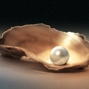 Pearl on Half Shell.png