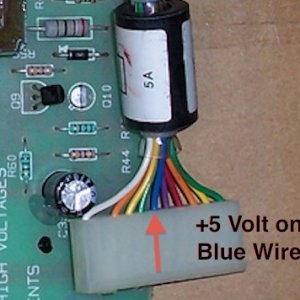 Blue Wire 5 Volt crop.jpg