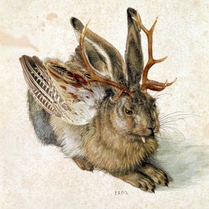 Wolpertinger.jpg