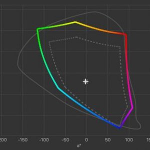 Gamut Display #1 2021-11-04 22-12 100cdm² D6500 2.2 S 1xCurve+MTX.jpg