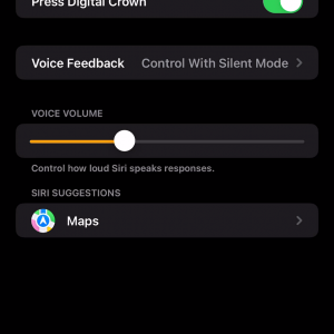 Siri Issue.mov