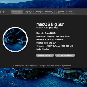 macOS 11.6.3RC OCLP_034N.jpg