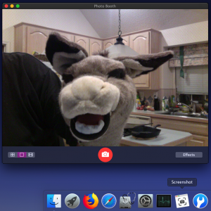 iSight .6b1, iMac11,2.png