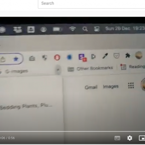 Screenshot 2022-02-15 at 21.54.23.png