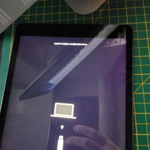 ipad2.jpg