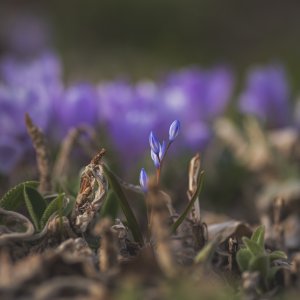 20220425_170418 copy.jpg