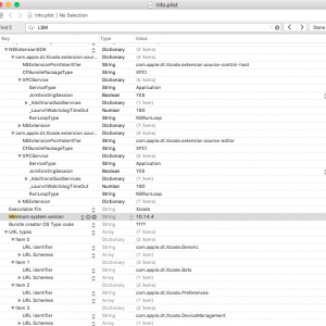 xcode11 infoplist.png