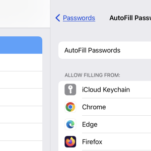 Passwords Autofill 2022-06-13 at 11.31.07 AM.png