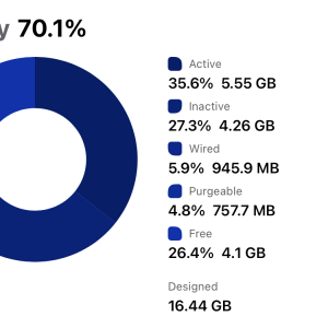 Usage-Memory 2021 12.9 16GB 2022-06-16.png