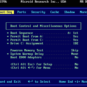 vpc-40-bios-07.png