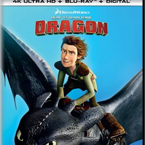 How to Train You Dragon (2014).jpg