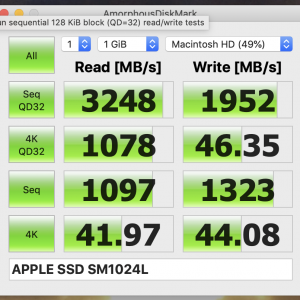 Apple SSD SM1024L.png