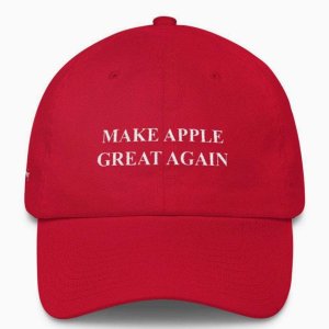 apple_hat001-780x743-3224926005.jpg