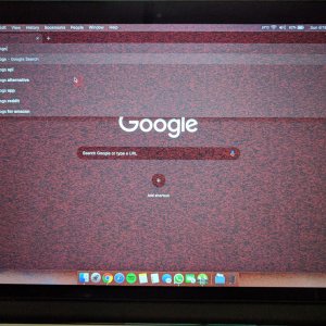 66244569_2421599994552768_7148026212881793024_n (1).jpg