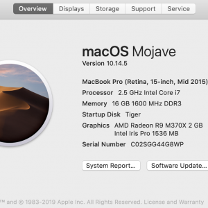 Screen Shot 2019-07-08 at 12.33.38 PM.png