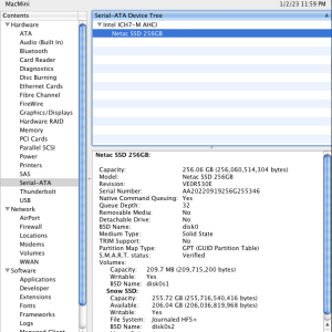  netacssd-macmini21.png