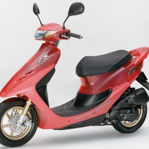 Honda Live DIO ZX Skeleton 1 copy.jpg