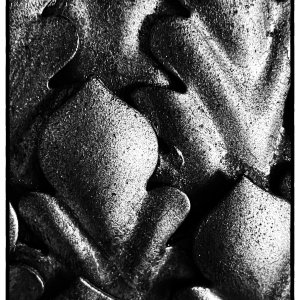 Abstract in B&W.jpeg