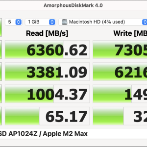 APPLE SSD AP1024Z : Apple M2 Max.png