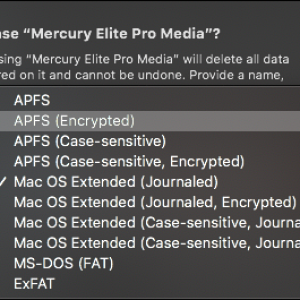 12 - Disk Utility - Mercury Elite Pro - USB External Phycial Disk - Erase screenshot 2.png