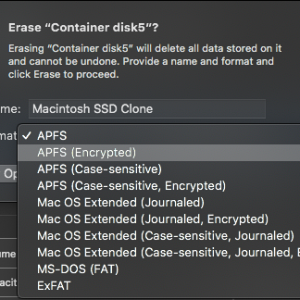 13 - Disk Utility - Mercury Elite Pro - APFS Container - Erase screenshot.png