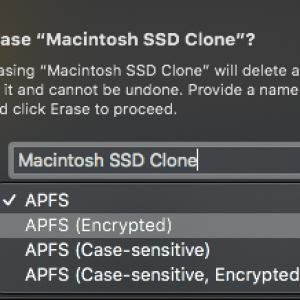 14 - Disk Utility - Mercury Elite Pro - APFS Volume (Macintosh SSD Clone) - Erase screenshot.png