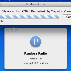 PandoraRadio.png