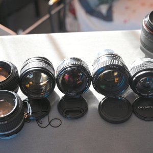 lens6.jpg