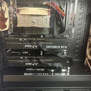 Michael Simpson Jr - Puget 1.jpg