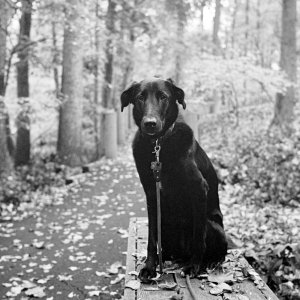 Roll _15_YashicaMat124_2022_Image_09.jpg