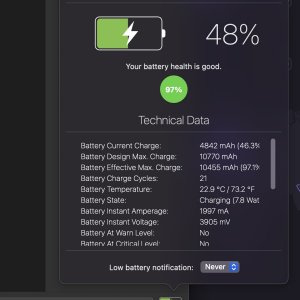 imazing battery.jpg