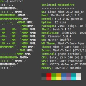 Neofetch MBP 17.jpg